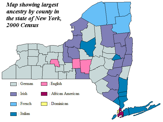 New York Population Ethnicity Map