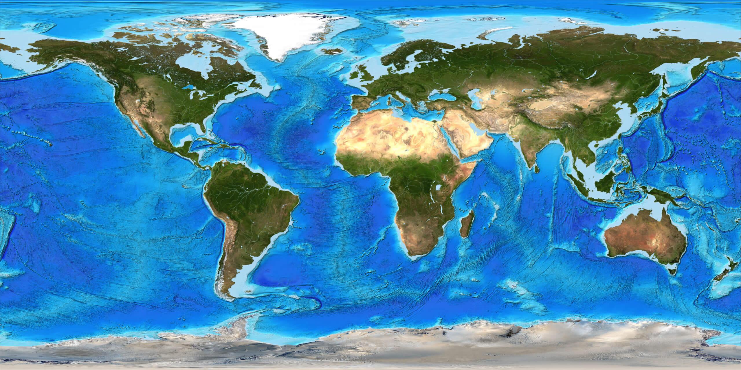 Large World Physical Map